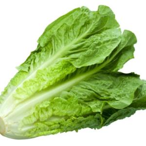 Hạt giống xà lách Roman - Ảnh 1